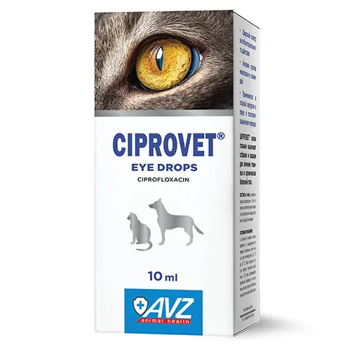 ციპროვეტი თვალის