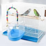 თუთიყუშის აბაზანა - Image 2