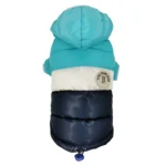 ფერადი თბილი დუტი ჰუდით