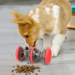 სნექების ჩასაყრელი სათამაშო (ზომებში)