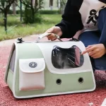 გადასაყვანი ჩანთა ფისოს ჭრილით, მწვანე