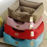 ძაღლის საწოლი ფერადი