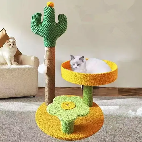 კაქტუსი საფხაჭნი ორი დასაჯდომით