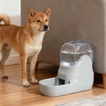 წყლის დისპენსერი #2 - Image 2